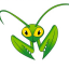 Mantis